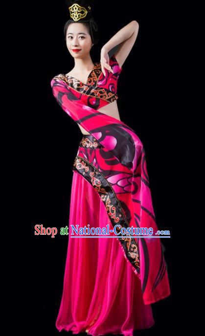 Chinese Traditional Classical Dance Costume Peri Dance Water Sleeve Rosy Dress for Women