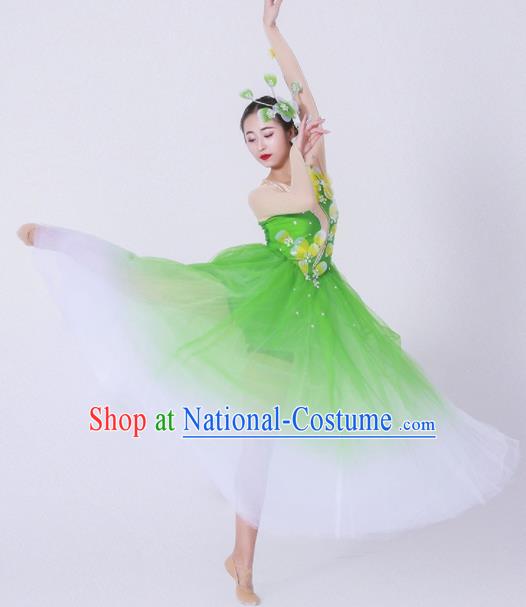 Chinese Traditional National Dance Costume Modern Dance Stage Performance Green Veil Dress for Women