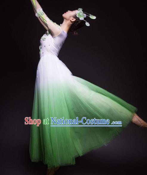 Chinese Traditional National Dance Green Veil Dress Modern Dance Stage Performance Costume for Women