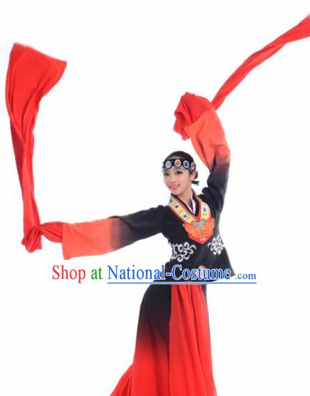 Chinese Traditional Classical Dance Costume Beijing Opera Dance Water Sleeve Red Dress for Women