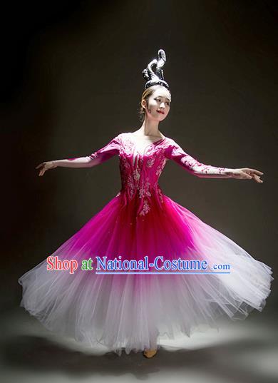 Chinese Traditional Chorus Rosy Veil Dress Modern Dance Stage Performance Costume for Women