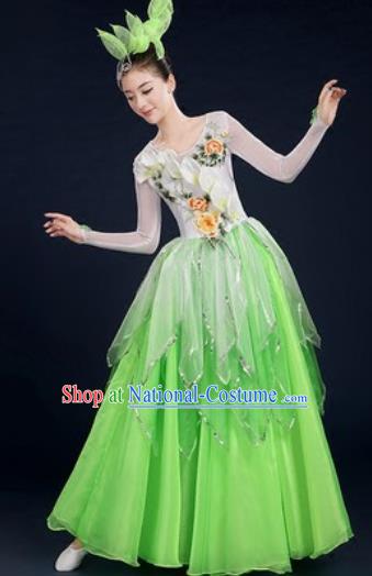 Chinese Traditional Opening Dance Green Dress Spring Festival Gala Stage Performance Costume for Women