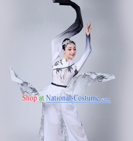 Chinese Traditional Stage Performance Costume Classical Dance Water Sleeve White Dress for Women