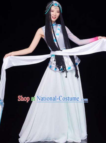 Chinese Traditional Tibetan Ethnic Folk Dance Dress Zang Nationality Dance Costume for Women