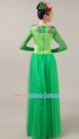 Chinese Traditional Chorus Green Veil Dress Opening Dance Modern Dance Costume for Women