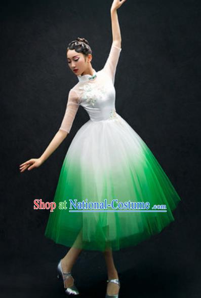 Chinese Classical Dance Costume Traditional Modern Dance Green Veil Dress for Women