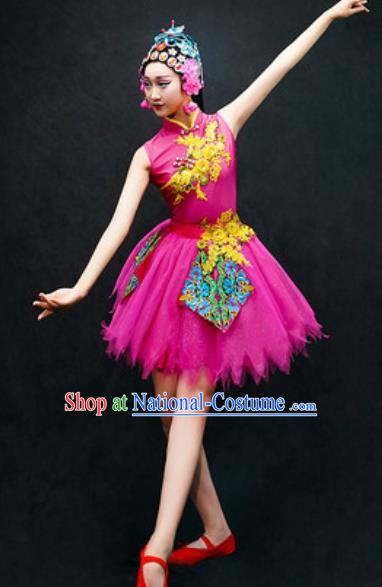 Chinese Classical Dance Costume Traditional Folk Dance Rosy Veil Dress for Women