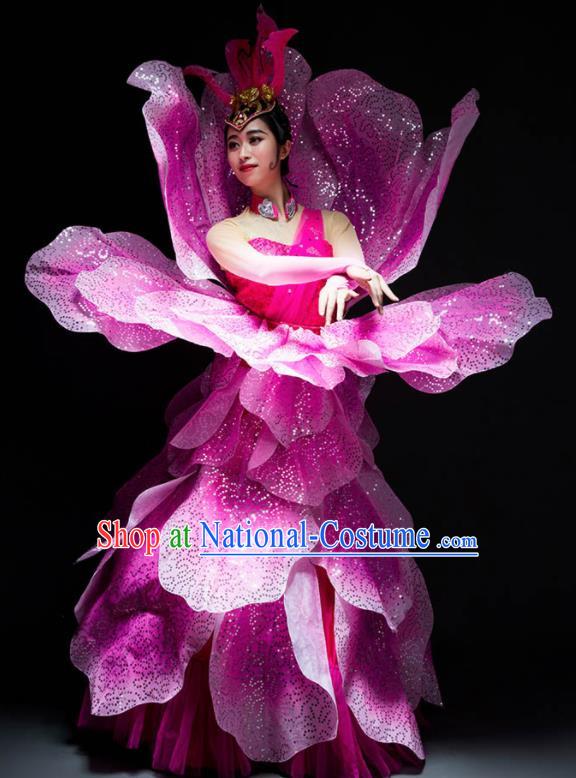 Chinese Modern Dance Peony Dance Stage Costume Traditional Spring Festival Gala Opening Dance Rosy Dress for Women