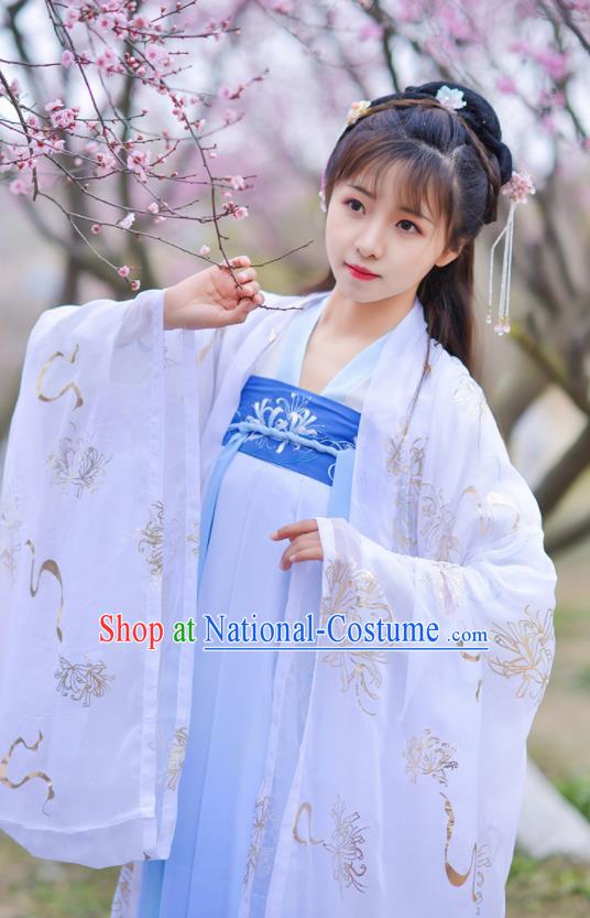 Chinese Ancient Peri Goddess Embroidered Hanfu Dress Traditional Tang Dynasty Historical Costume for Women