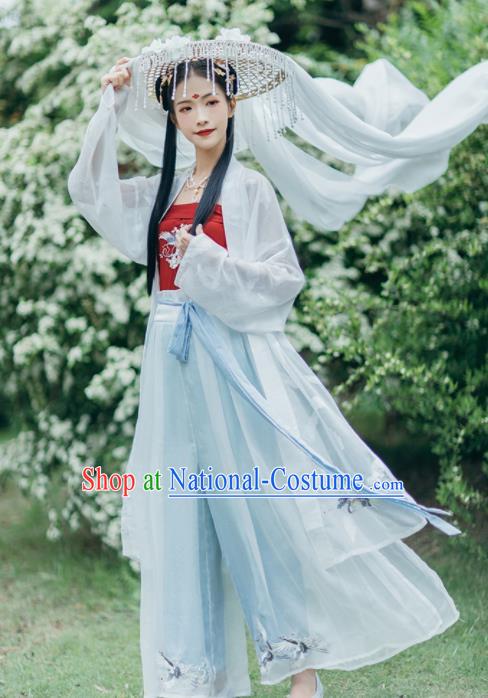 Chinese Traditional Young Lady Embroidered Hanfu Dress Song Dynasty Historical Costume for Women