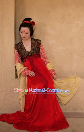 Chinese Ancient Tang Dynasty Las Meninas Replica Costume Traditional Court Lady Hanfu Dress for Women