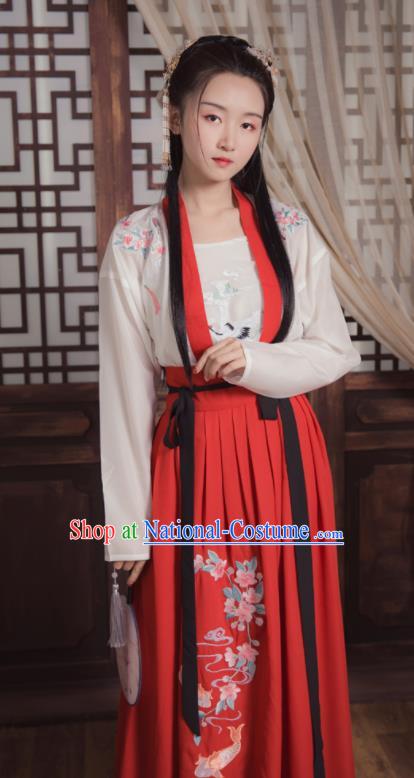 Ancient Chinese Song Dynasty Young Lady Replica Costume Traditional Swordswoman Embroidered Hanfu Dress for Women