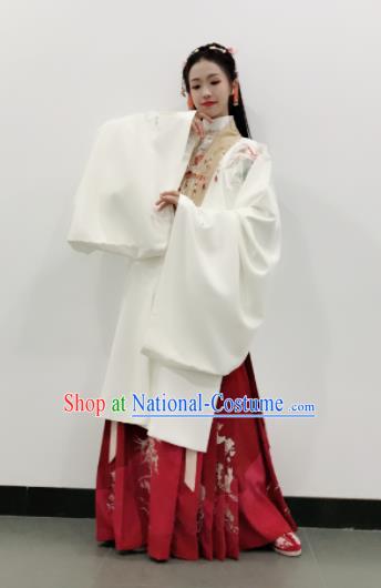 Traditional Chinese Ming Dynasty Palace Princess Embroidered Hanfu Dress Ancient Court Replica Costumes for Women