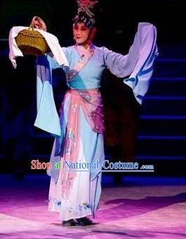 Traditional Chinese Classical Dance Bai Gujing Costume Journey to the West Dance Dress for Women