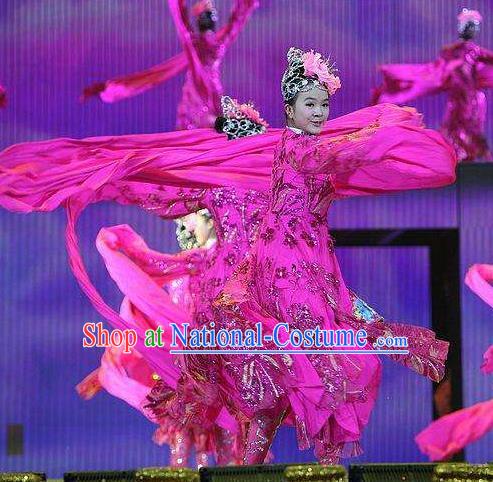 Dance of the Butterfly Traditional Chinese Classical Dance Costume Rosy Water Sleeve Dance Dress for Women