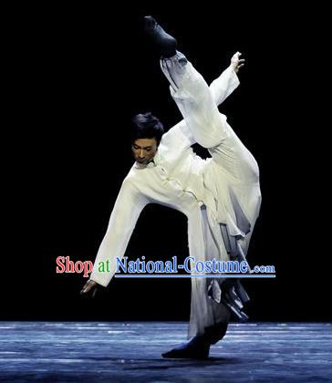 Traditional Chinese Classical Dance Cheng Feng Gui Qu Costume Solo Dance Clothing for Men