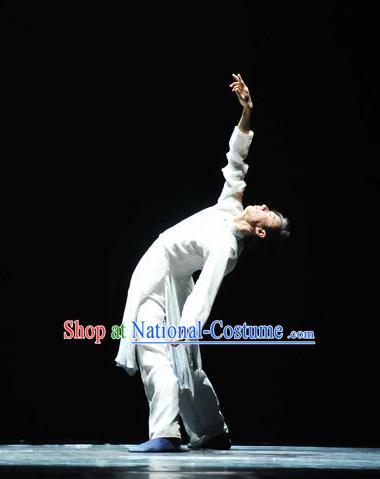 Traditional Chinese Classical Dance Cheng Feng Gui Qu Costume Solo Dance Clothing for Men