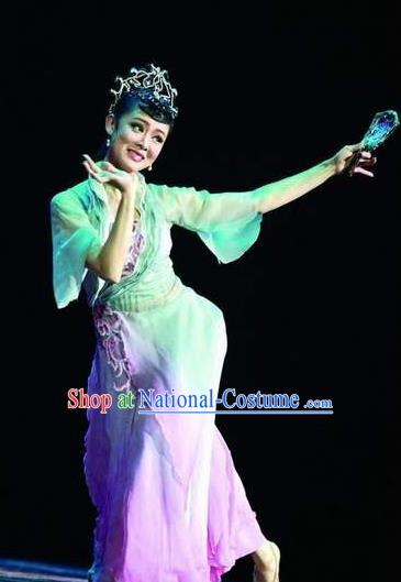 Traditional Chinese Classical Dance Dian Jiang Chun Costume Solo Ballet Dance Dress for Women