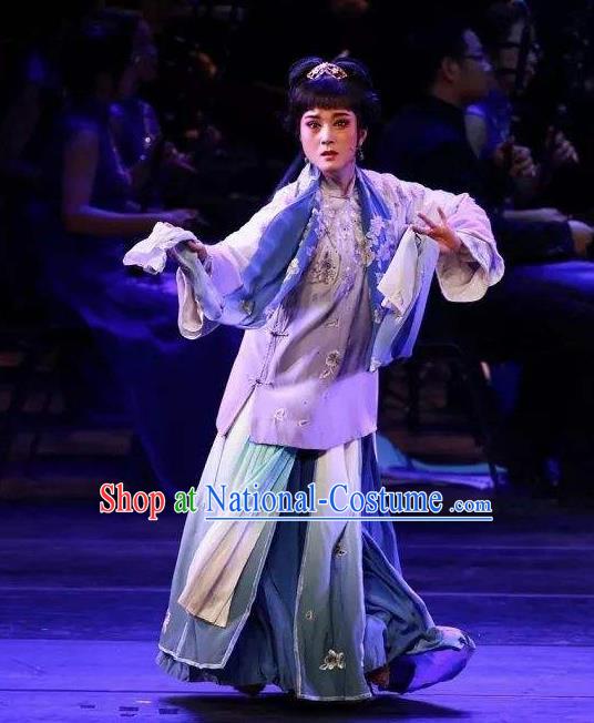 Traditional Chinese Classical Dance Ju Zi Hong Le Costume Drama Stage Show Beautiful Dance Dress for Women