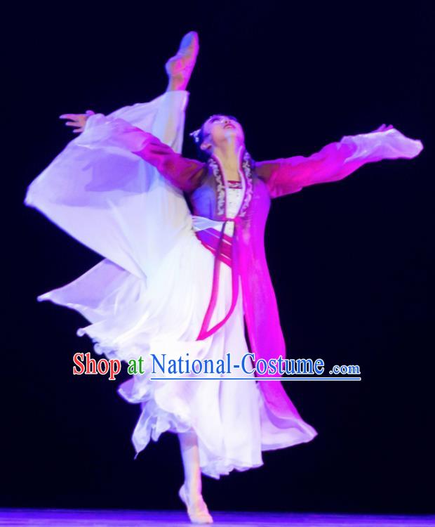 Traditional Chinese Classical Dance Ballet Ru Meng Ling Costume Stage Show Beautiful Dance Dress for Women