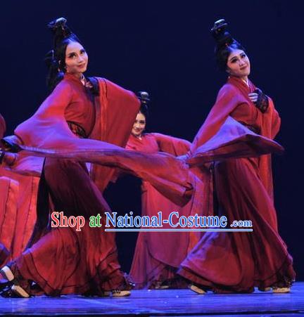 Chinese Beautiful Dance Xiang Ji Wu Costume Traditional Water Sleeve Dance Classical Dance Competition Dress for Women