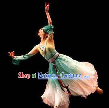 Beautiful Chinese Dance Pear Flower Dance Costume Traditional Classical Dance Dress for Women