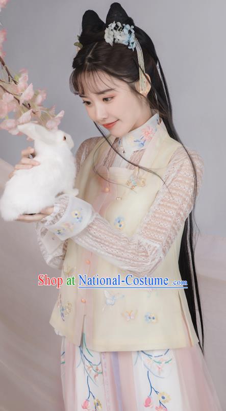 Traditional Chinese Ming Dynasty Hanfu Dress Ancient Young Lady Replica Costumes for Women