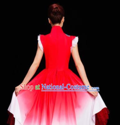 Chinese National Folk Dance Dress Traditional Classical Dance Costume for Women