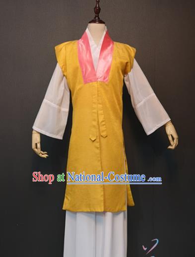 Traditional China Ming Dynasty Maidservant Costume Ancient Drama The Dream of Red Mansions Beauty Qing Wen Clothing