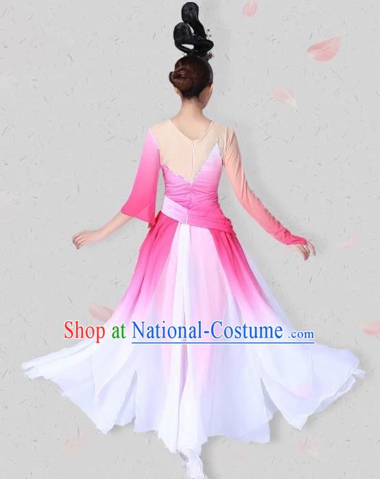 China Classical Dance Pink Dress Traditional Fan Dance Costume Dance Competition Performance Clothing and Headwear