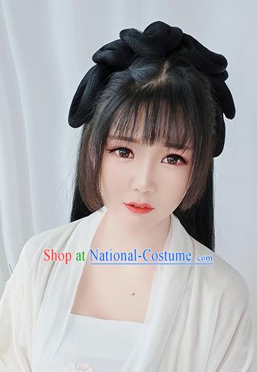 Chinese Song Dynasty Princess Wigs Best Quality Wigs China Cosplay Wig Chignon Ancient Noble Lady Wig Sheath