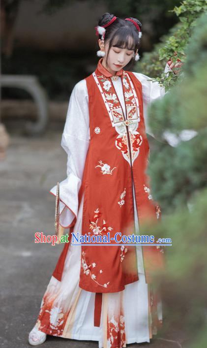 Ancient China Young Beauty Costumes Traditional Ming Dynasty Courtesan Du Liniang Hanfu Dress Apparels