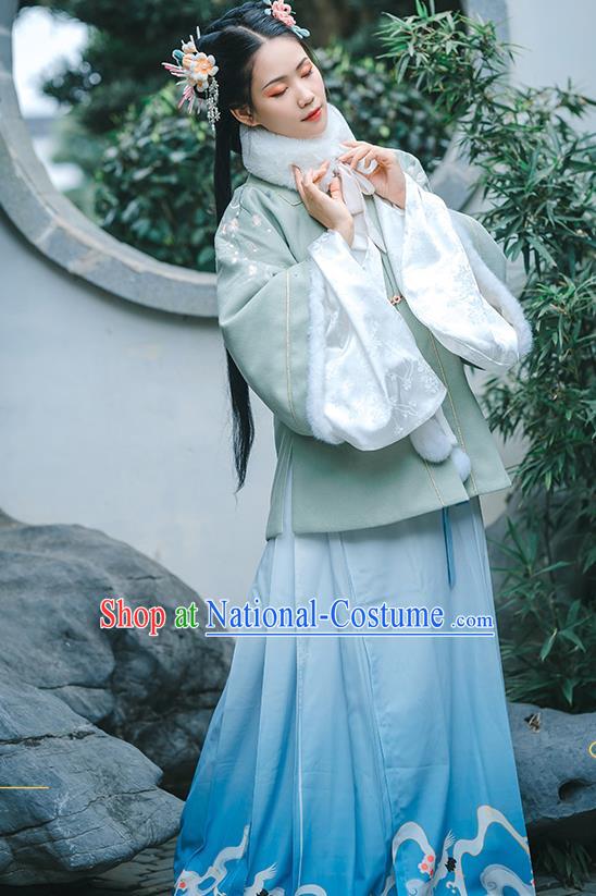 China Ancient Noble Female Hanfu Dress Traditional Ming Dynasty Young Lady Clothing Complete Set