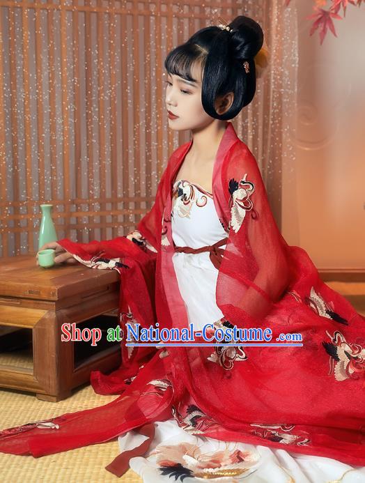 China Ancient Palace Princess Historical Clothing Traditional Tang Dynasty Court Lady Embroidered Hanfu Dress