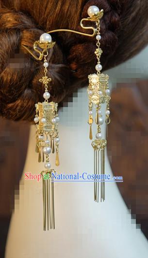 China Ancient Princess Tassel Step Shake Hair Sticks Traditional Xiuhe Suit Hair Jewelry Accessories Court Palace Lantern Hairpin