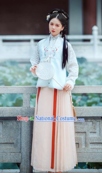 Chinese Ancient Noble Lady Embroidered Dress Traditional Ming Dynasty Nobility Costumes for Women