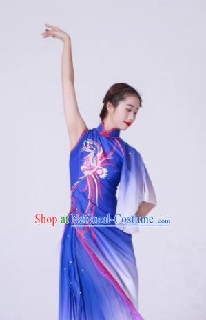 Chinese Classical Dance Blue Dress Traditional Fan Dance Stage Show Costume for Women