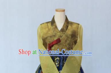 Korean Traditional Garment Ginger Blouse and Royalblue Dress Bride Hanbok Asian Korea Fashion Costume for Women