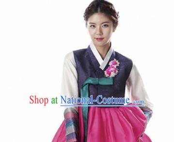 Korean Traditional Bride Hanbok Navy Blouse and Rosy Dress Garment Asian Korea Fashion Costume for Women