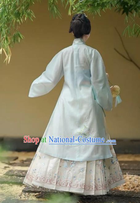 Chinese Ancient Taoist Nun Embroidered Dress Traditional Ming Dynasty Nobility Lady Costumes for Women