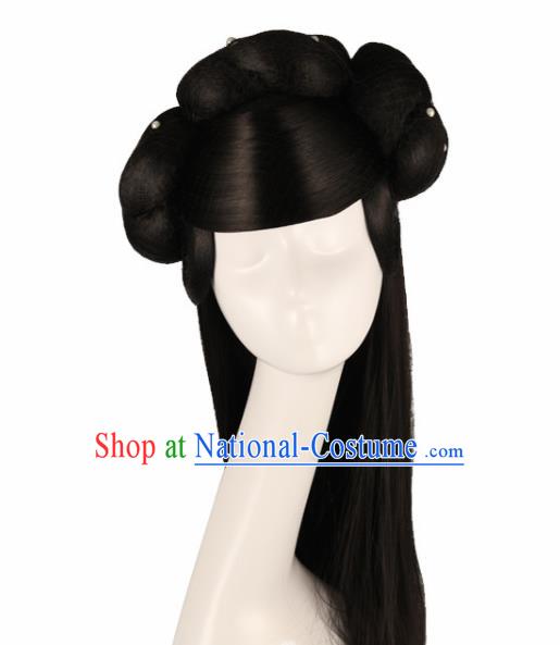 Traditional Chinese Han Dynasty Princess Wigs Ancient Goddess Fairy Hair Accessories for Women