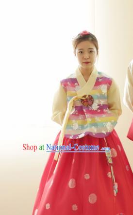 Korean Traditional Bride Hanbok Blouse and Dress Garment Asian Korea Fashion Costume for Women