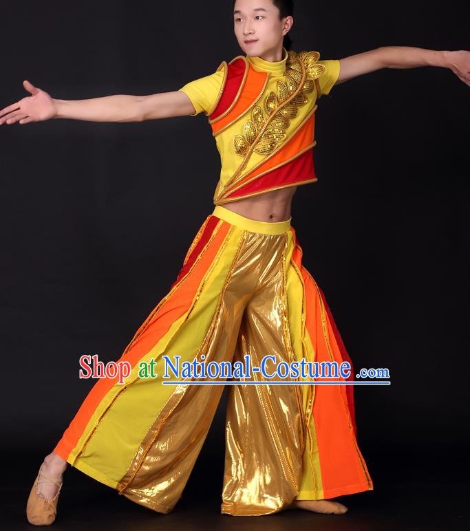 Chinese Traditional Male Dance Golden Clothing China Folk Dance Stage Performance Costume for Men