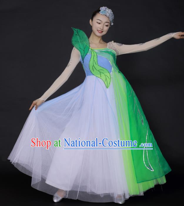 Professional Modern Dance Chorus Veil Dress Opening Dance Stage Performance Costume for Women