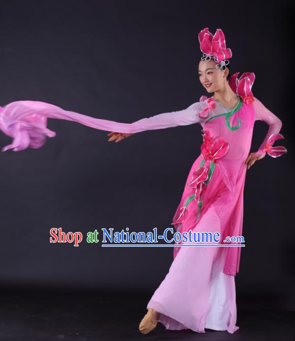 Chinese Classical Dance Water Sleeve Dance Pink Dress Traditional Stage Performance Costume for Women