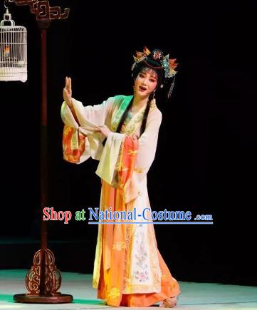 Chinese Peking Opera Dan Costumes Double Pearl Phoenix Rich Lady Hua Dingjin Apparel Garment and Headpieces