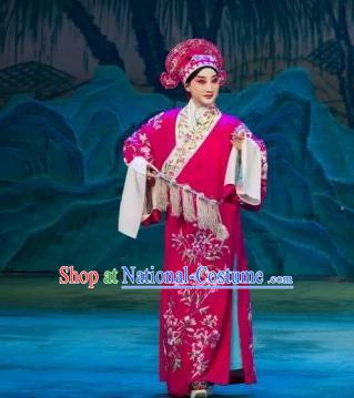 Chinese Beijing Opera Rosy Garment Butterfly Fairy Tale Apparels Xiaosheng Costumes Young Men Niche Robe and Hat