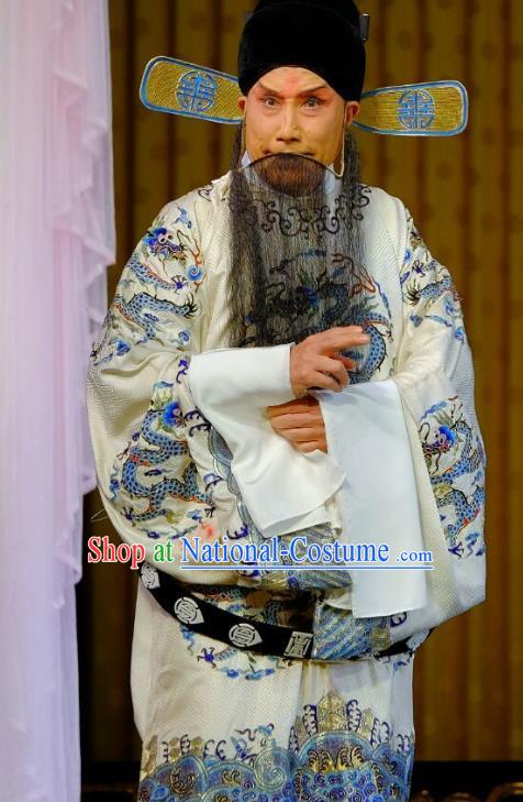 Chinese Peking Opera Official Dong Zhuo Costumes Garment Lv Bu and Diao Chan Elderly Male Apparels White Python Embroidered Robe and Hat