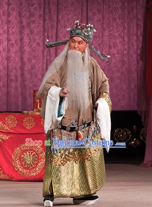 Chinese Beijing Opera Elderly Men Garment Peking Opera Judge Bao and the Qin Xianglian Case Apparels Chancellor Han Qi Costumes and Headwear