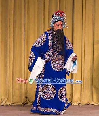 Chinese Beijing Opera Elderly Men Embroidered Robe Garment Peking Opera Judge Bao and the Qin Xianglian Case Apparels Costumes and Hat